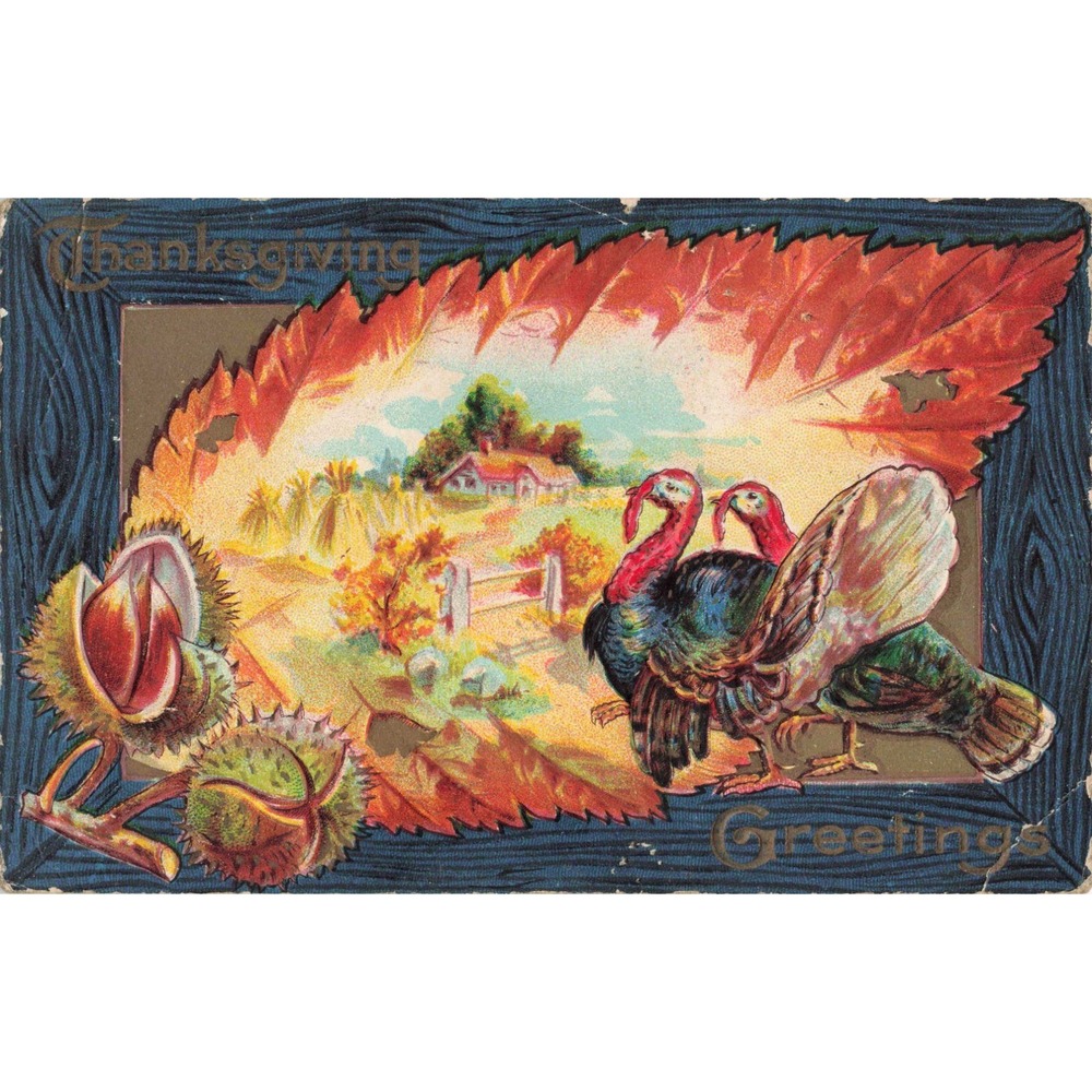 Thanksgiving Postcard Turkeys Farm Scene Autumn Leaf Chestnuts Embossed c1910 - Picture 1 of 2